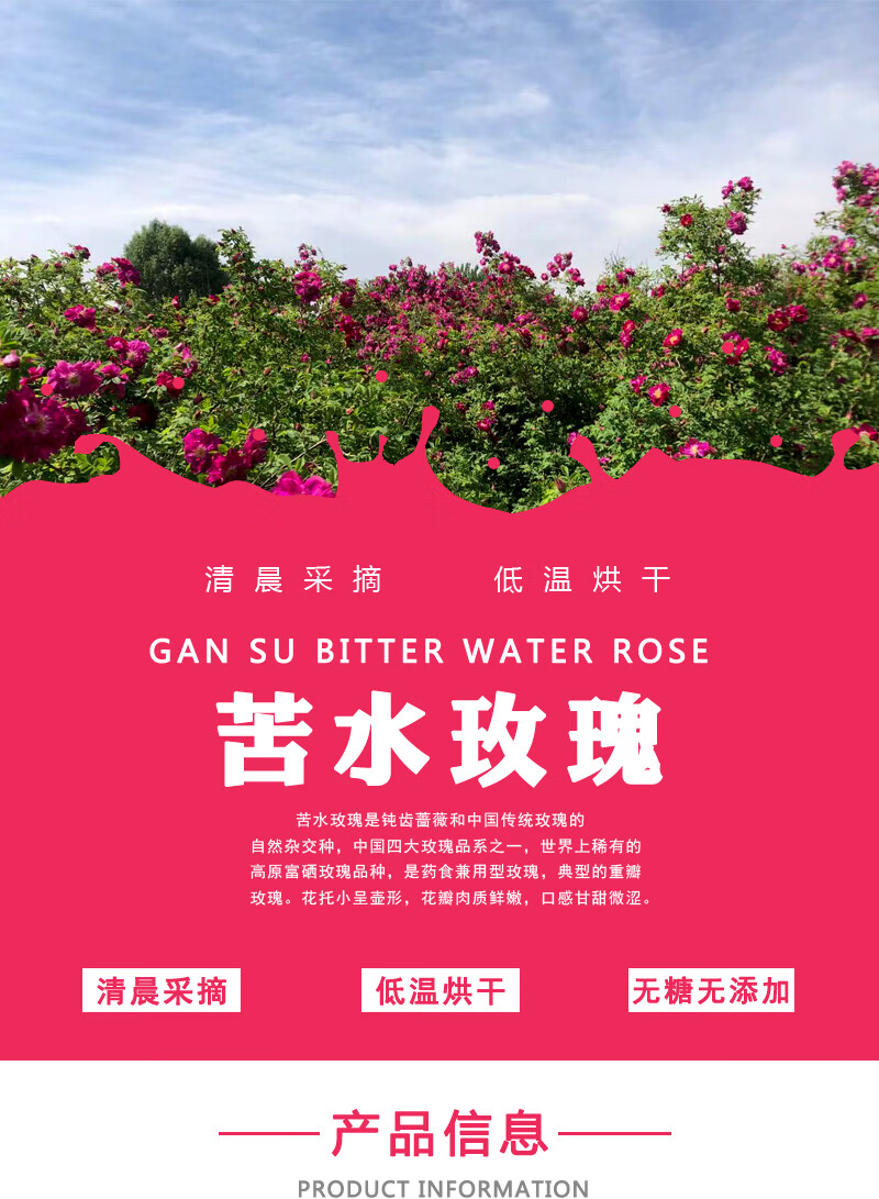 苦水花冠茶20g罐装甘肃特产干重瓣花瓣泡水女性养生玫瑰花