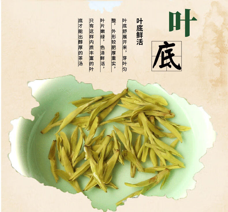 龙井茶【一斤一斤】绿茶2021新雨前龙井特散装浓香型级250g正宗 龙井