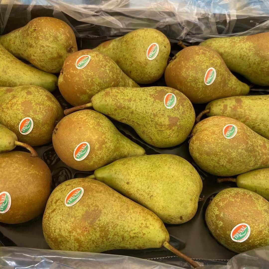 啤梨进口比利时啤梨大果软糯香甜荷兰青啤梨新鲜儿童水果 指定(tpuval