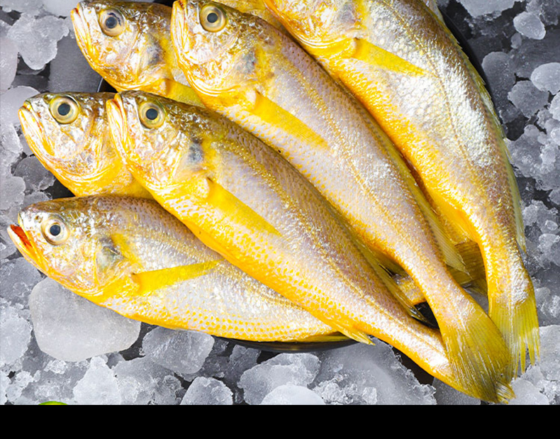 怡鲜汇小黄花鱼生鲜冰冻活鲜冷冻小黄鱼速冻海鲜 1500g