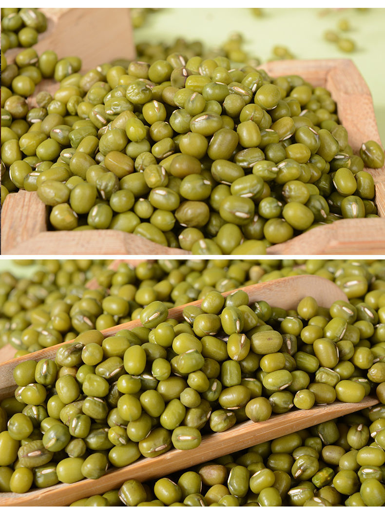 云南绿豆 发绿豆芽 高原油绿豆 打豆浆 发豆芽 竹豆米粥伴侣杂粮 绿豆