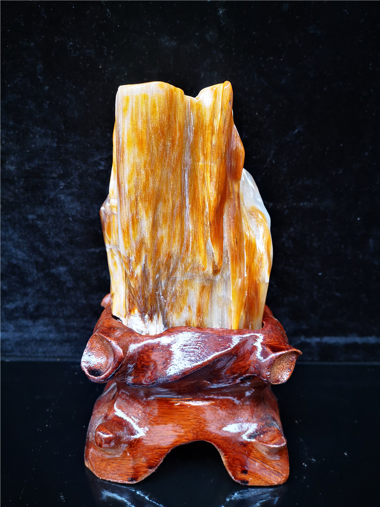 树化玉 玉石天然奇石原石装饰摆件冰种树化玉木化石观赏石景观石石头