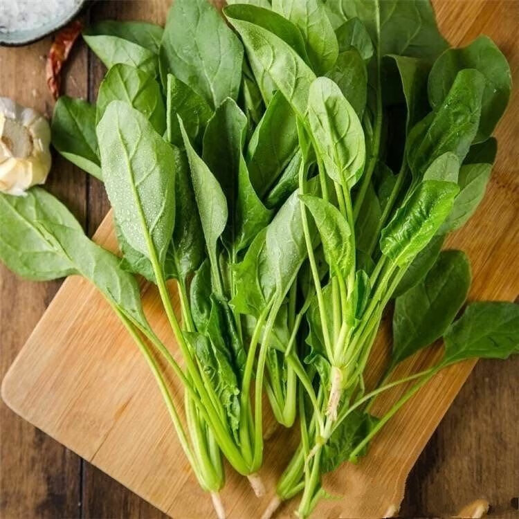媚调 菠菜新鲜蔬菜长杆菠菜河南菠菜红根菠菜 大叶菠菜火锅青菜现