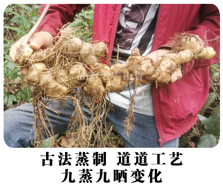 正宗九蒸九晒制黄精野生10年鸡头老虎姜滋补泡茶煲汤辟谷药材250g