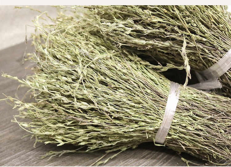 优选伟博官方旗舰独脚金小儿开胃汤包广西新鲜干货柑疳积草中药材图片