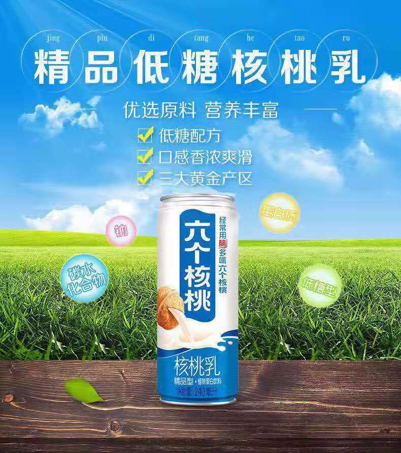 核桃露 6个核桃养生学生早餐奶中老年植物蛋白饮品整箱 核桃露(310ml*