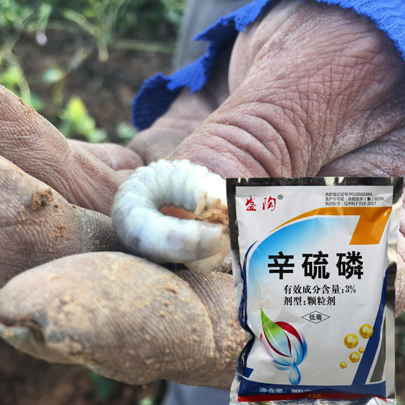 辛硫磷颗粒蔗螟蛴螬土蚕蝼蛄地虫丹地下害虫玉米螟蔬菜花卉杀虫剂800g