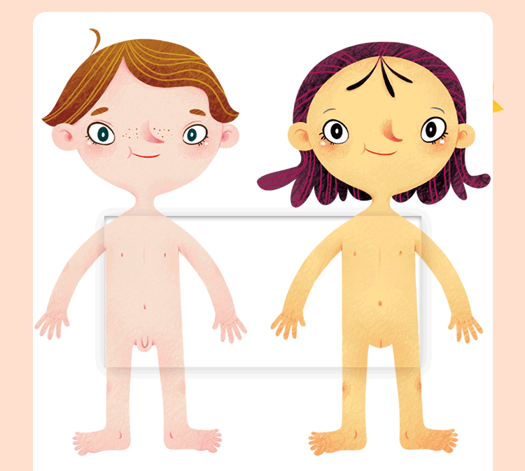 正版速发b学前儿童生理启蒙我们的身体撕不烂3d38岁幼儿宝宝早教学前