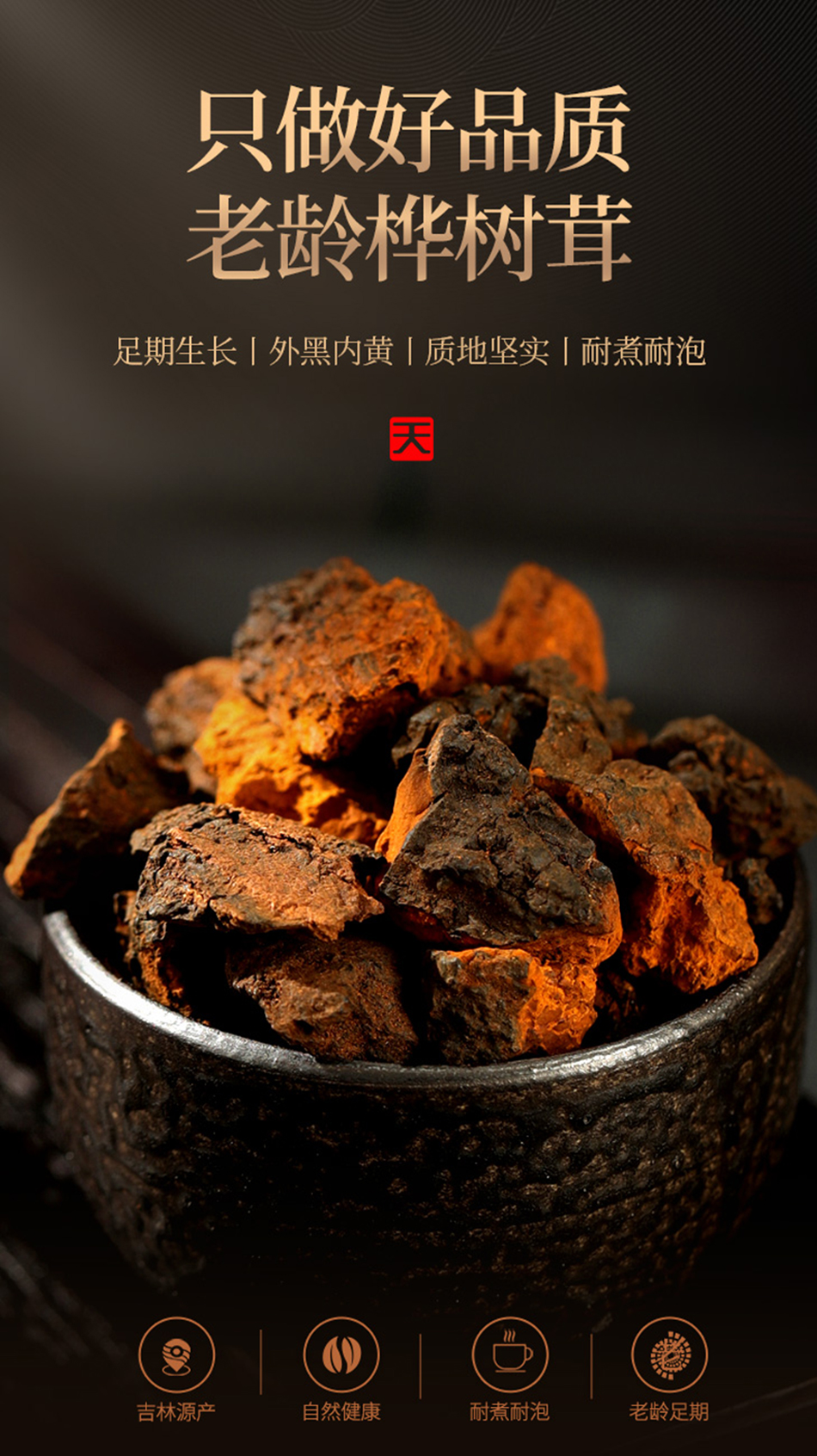 桦树茸茶黑金颗粒长白山野生桦褐孔菌非俄罗斯进口整块白桦茸茶包山臻