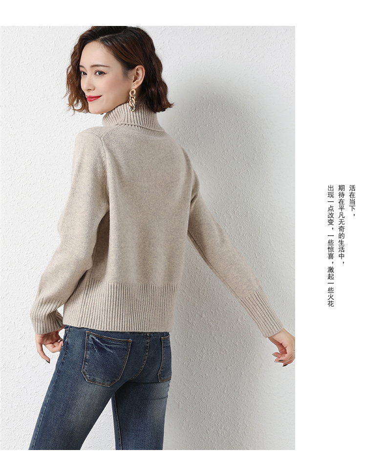 素荨高领毛衣女秋冬装2021年新款针织衫女套头宽松打底衫内搭上衣黑色