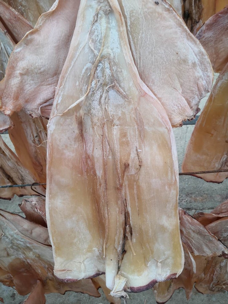 特大肉厚微咸无头鱿鱼板 鱿鱼干 餐饮泡发炒菜煲汤海鲜特产 无头大板2