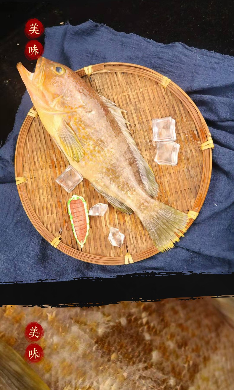 尚淘东山岛土过石斑鱼500g新鲜六带石斑鱼深海鱼500g条