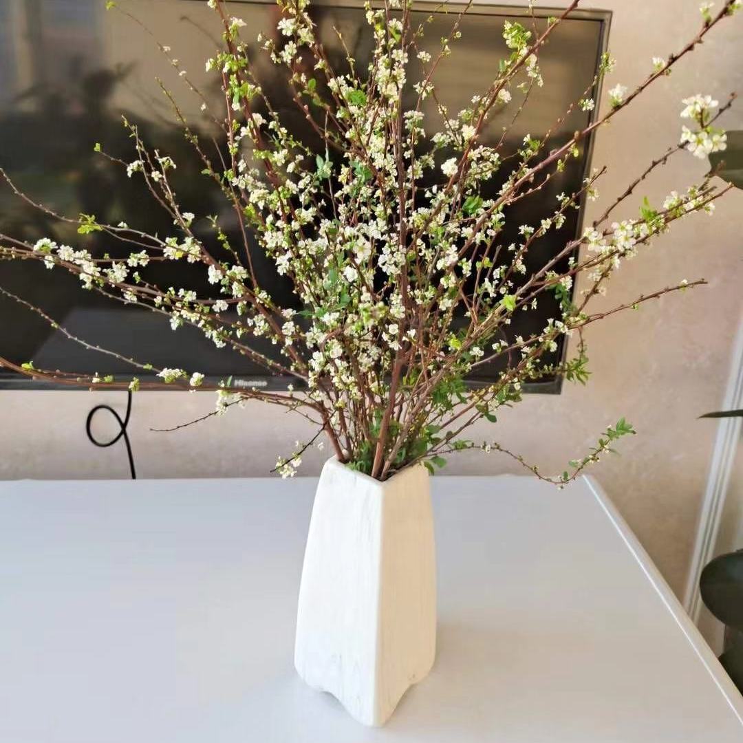 涞思芊*轻奢涞思芊雪柳干枝遇水开花耐寒鲜花水培花卉干枝花喷雪花插