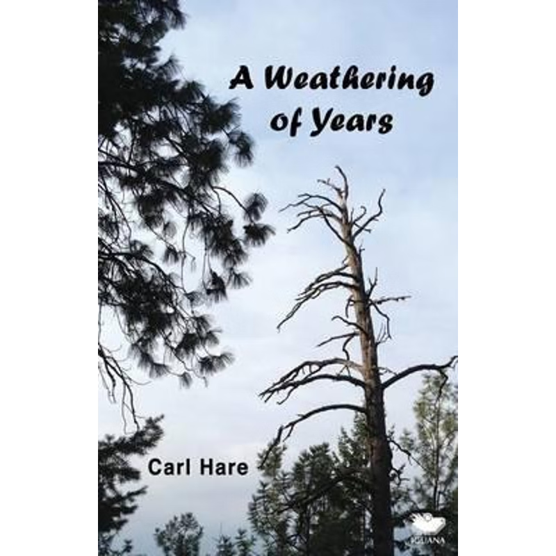 按需印刷A Weathering of Years[9781771801294]