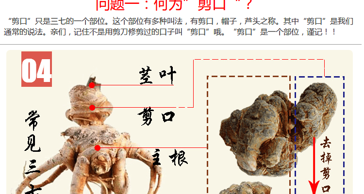 云南文山春三七无剪口20头30头40头60滑头田七500g可代磨细粉68头无剪