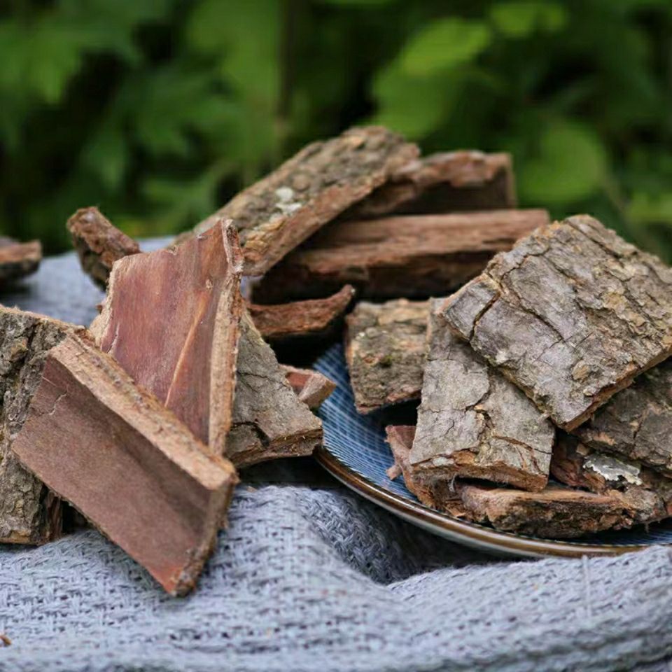 杜仲皮老树去粗皮男性茶磨粉泡酒材 杜仲500g一斤