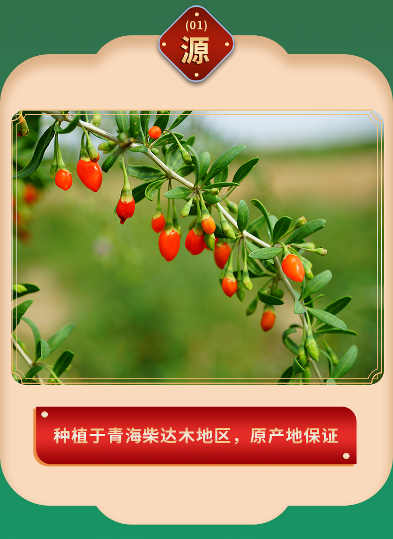 格尔木馆青海柴达木红枸杞500g特优级大颗粒枸杞子精选免洗枸杞子尔木