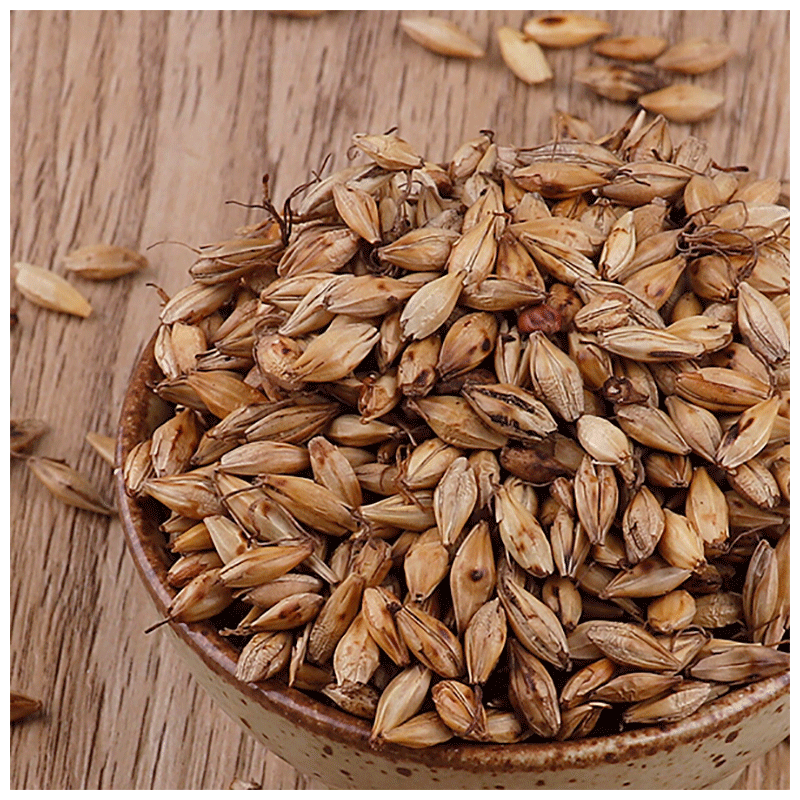 炒麦芽焦麦芽大麦芽茶 炒麦芽500克