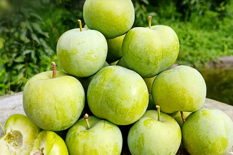 空心脱骨李子清脆顺丰 5斤中大果【图片 价格 品牌 报价】-京东