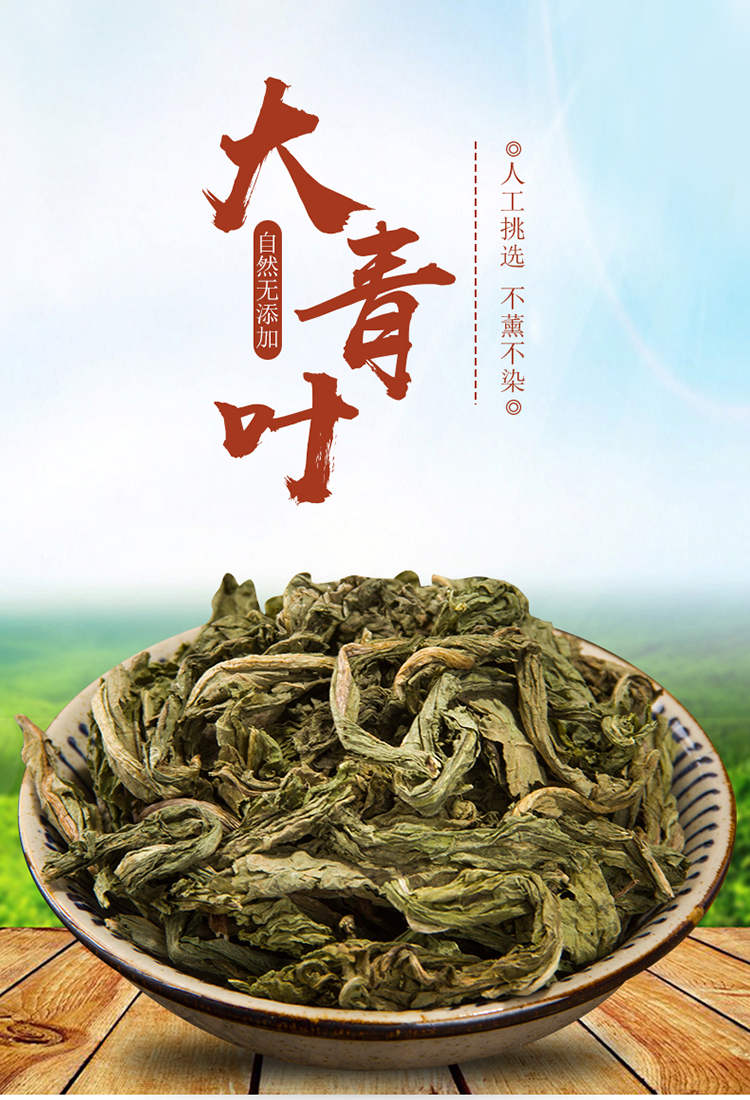 晓楚仁大青叶中药材板蓝根叶干500克大青叶粉中草药另售板蓝根