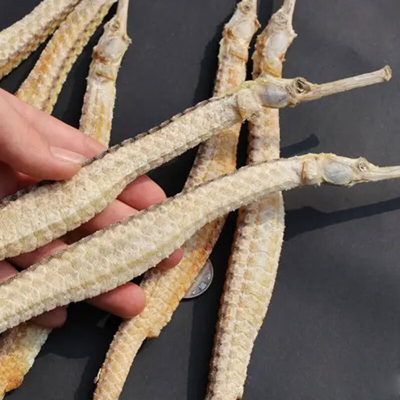 海龙干货中药材正宗拟海龙刁海龙六角大海龙泡酒材料包邮 拟海龙50克