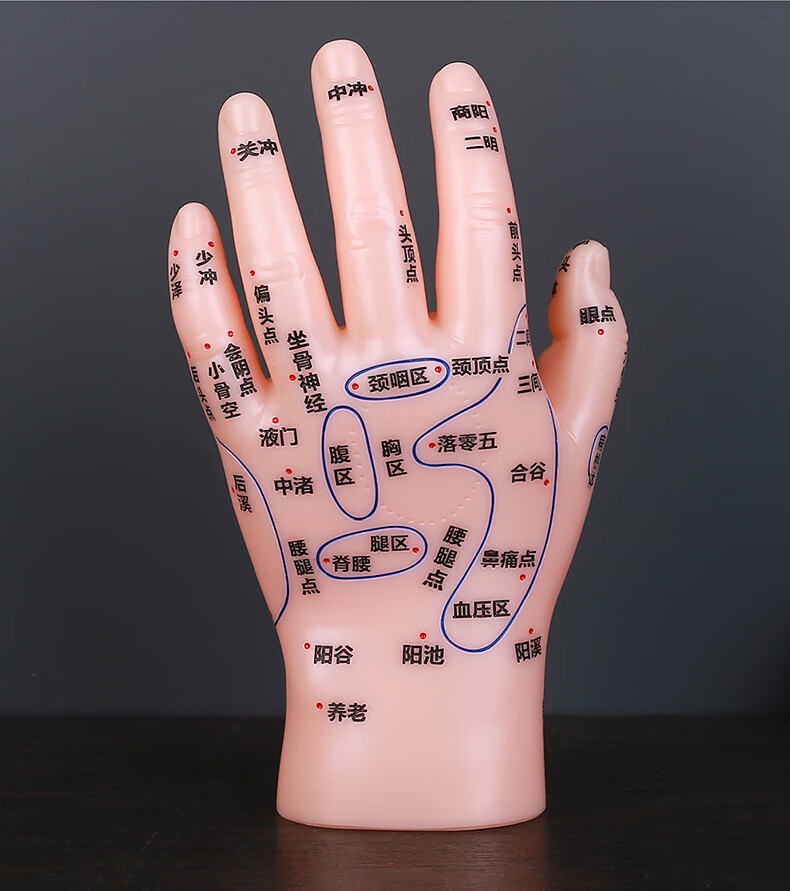 人体手部经络位置图图片