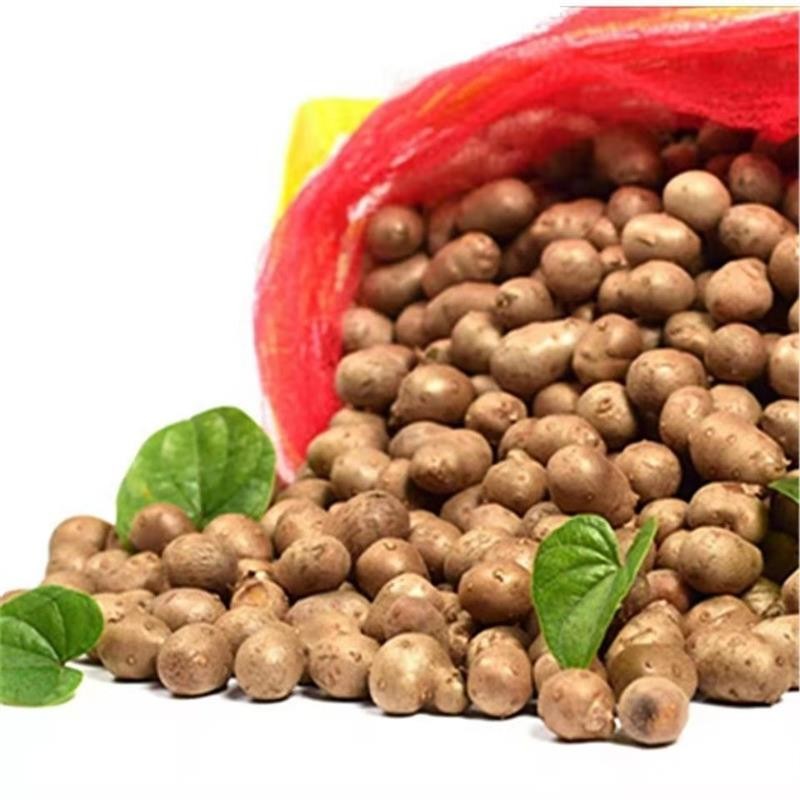 新鲜淮山药豆垆土铁棍山药豆精选山药蛋怀山药种子3斤5斤装批发3斤