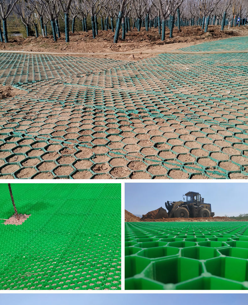 专用消防通道植草砖园林草坪绿化护坡草坪砖厂家50504cm绿色普通款1块