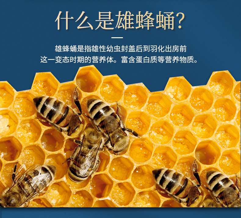 雄蜂蛹冻干片南京同仁堂雄峰蛹冻干粉片可搭蜂王浆蜂王胎片男性男人 1