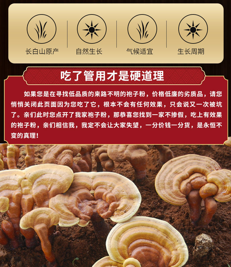 伟博长白山灵芝孢子粉力白山线油孢子粉 特级头道孢子粉(油花特多)