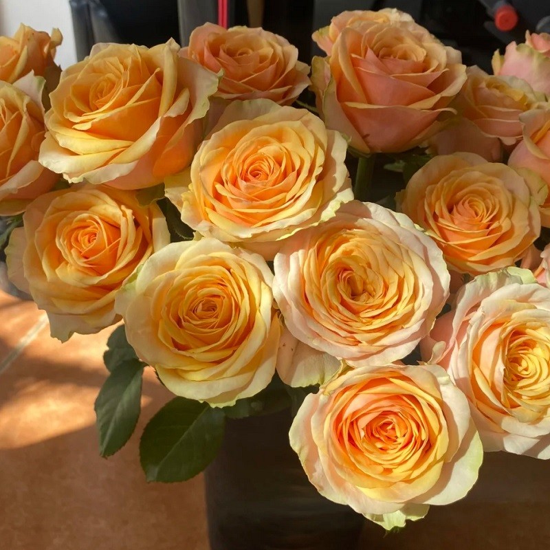 邻里花仓单头玫瑰迪威娜 20枝/扎 c级55cm【图片 价格 品牌 报价】