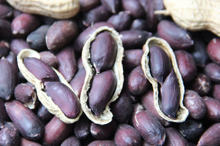 黑花生米新货带壳黑皮紫特产大粒干花生 黑花生种子生5斤【图片 价格 