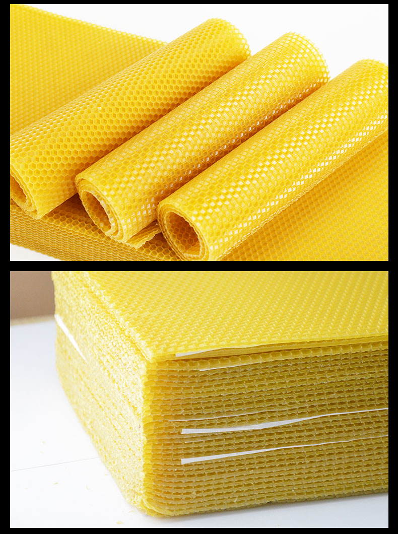 蜜蜂巢脾中蜂巢础中锋标准深房巢基巢脾蜂箱蜂巢养蜂用品工具 中蜂