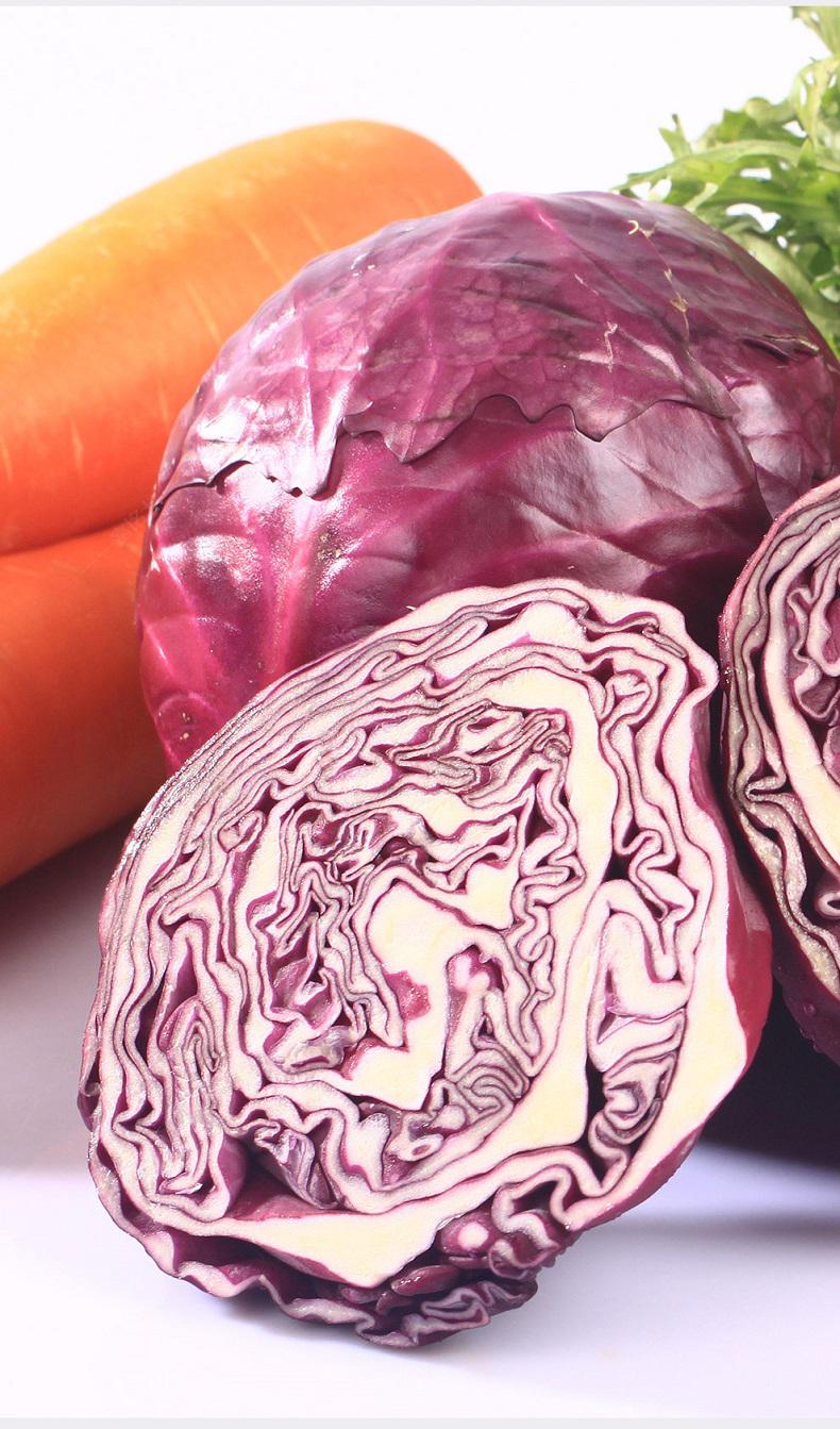 山东新鲜紫甘蓝蔬菜沙拉美食小包菜大头菜卷心菜 生鲜 5斤