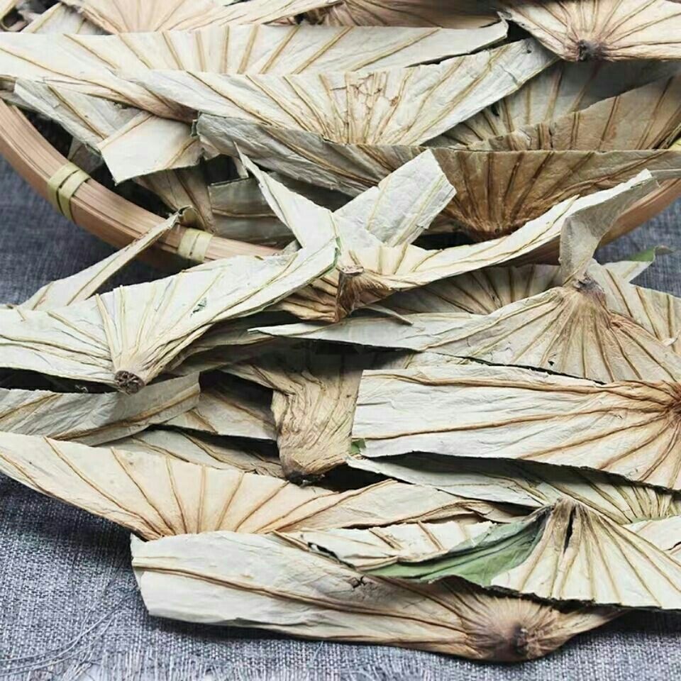 伟博 中药材荷叶蒂250g克起新货荷蒂荷鼻莲蒂干荷叶蒂荷叶顶同仁 同堂