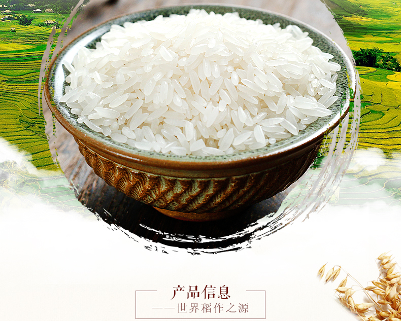 万年贡贡米红运丝苗米10kg家庭大包装20斤长粒香米籼米江西大米一袋