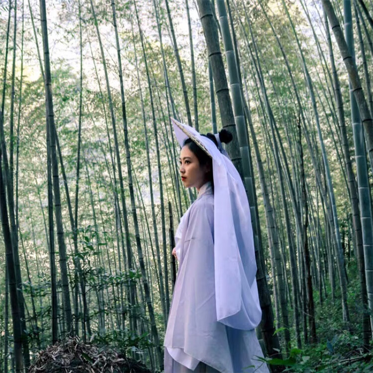 斗笠帽面纱古风女薄纱遮脸古代头纱汉服古装女侠客舞蹈镂空竹编 46