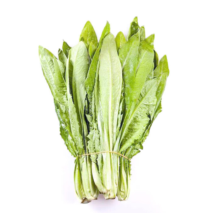 油麦菜5斤油荬香水生菜当季青菜四季农家自种时令蔬菜3生鲜 1500g