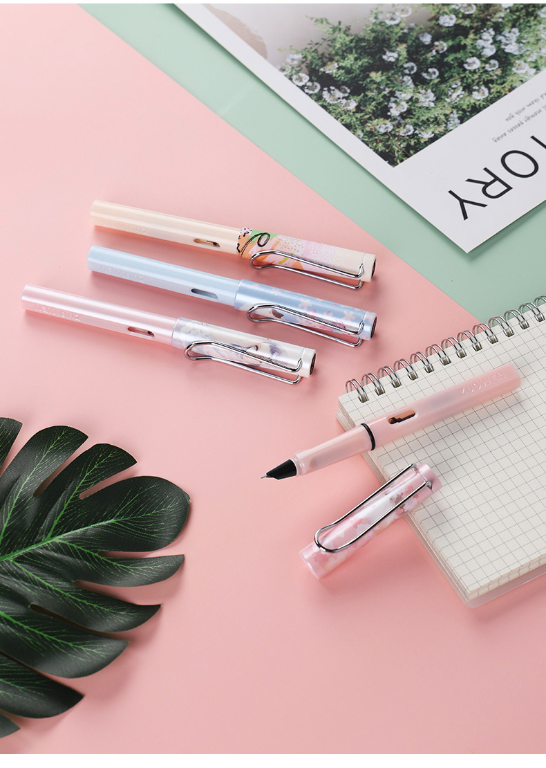 钢笔学生专用暗尖小学生三年级唯美正姿钢笔吸墨可换墨囊字帖练字矫正