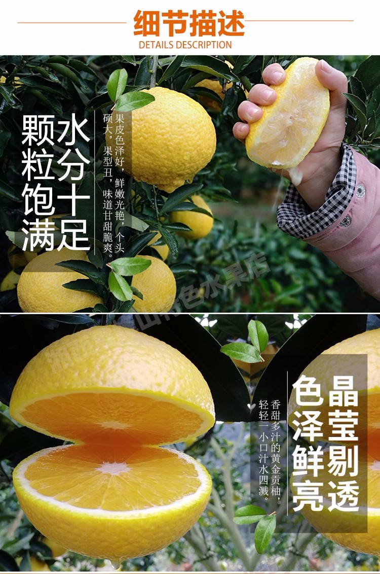 湖南怀化雪峰山黄金贡柚春香柚小柚子9斤中果果径6575mm