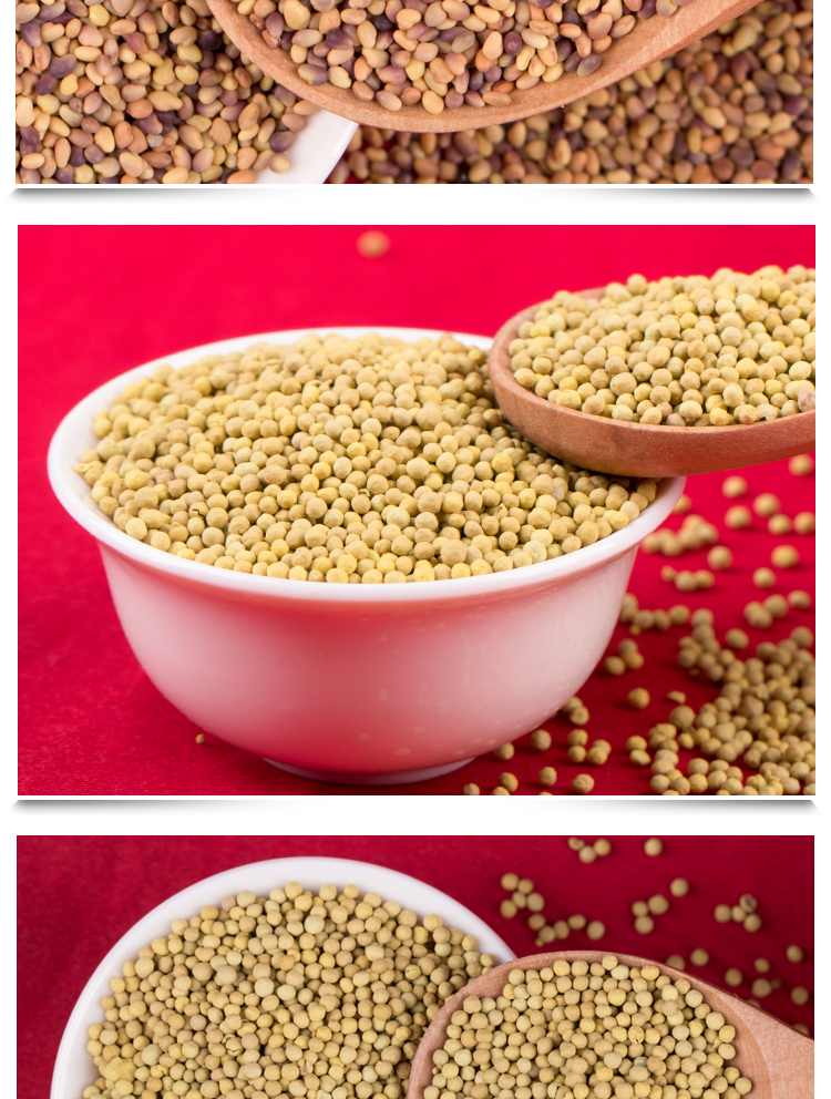 白三叶草种子红三叶草种子四季青草坪牧草种子绿肥红三叶种子500粒