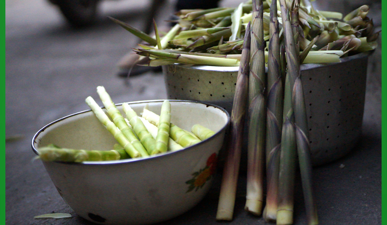 顺丰新鲜野生小竹笋现挖带壳小春笋现拔小毛笋5斤带壳顺丰