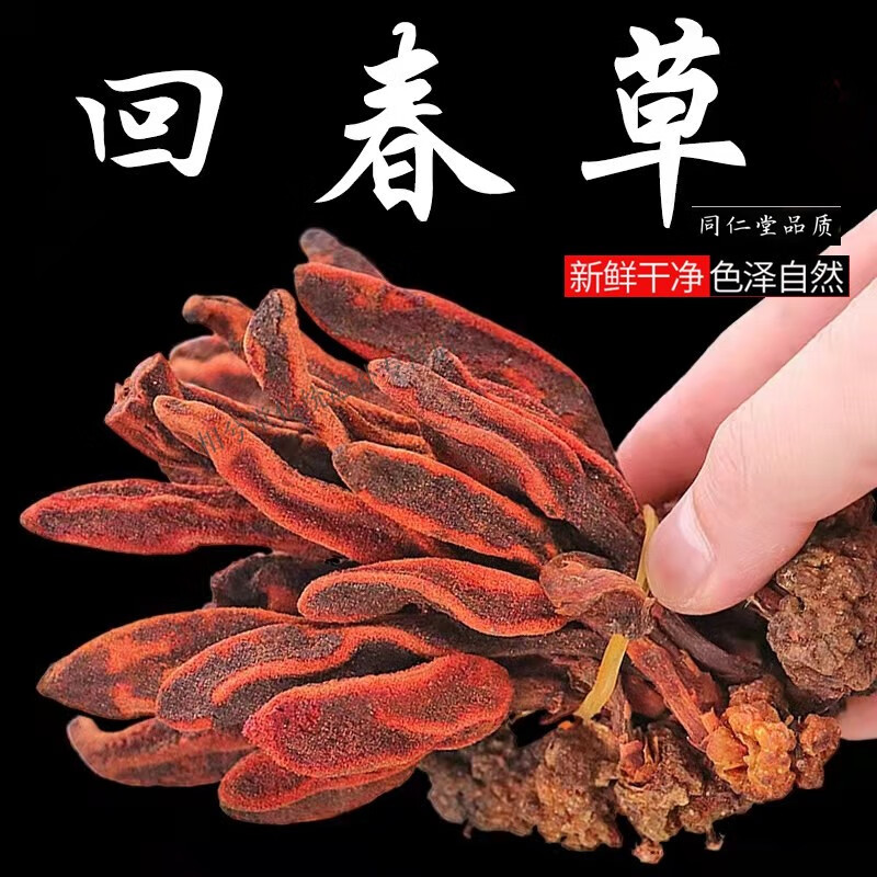 稀有名贵药材图片大全图片