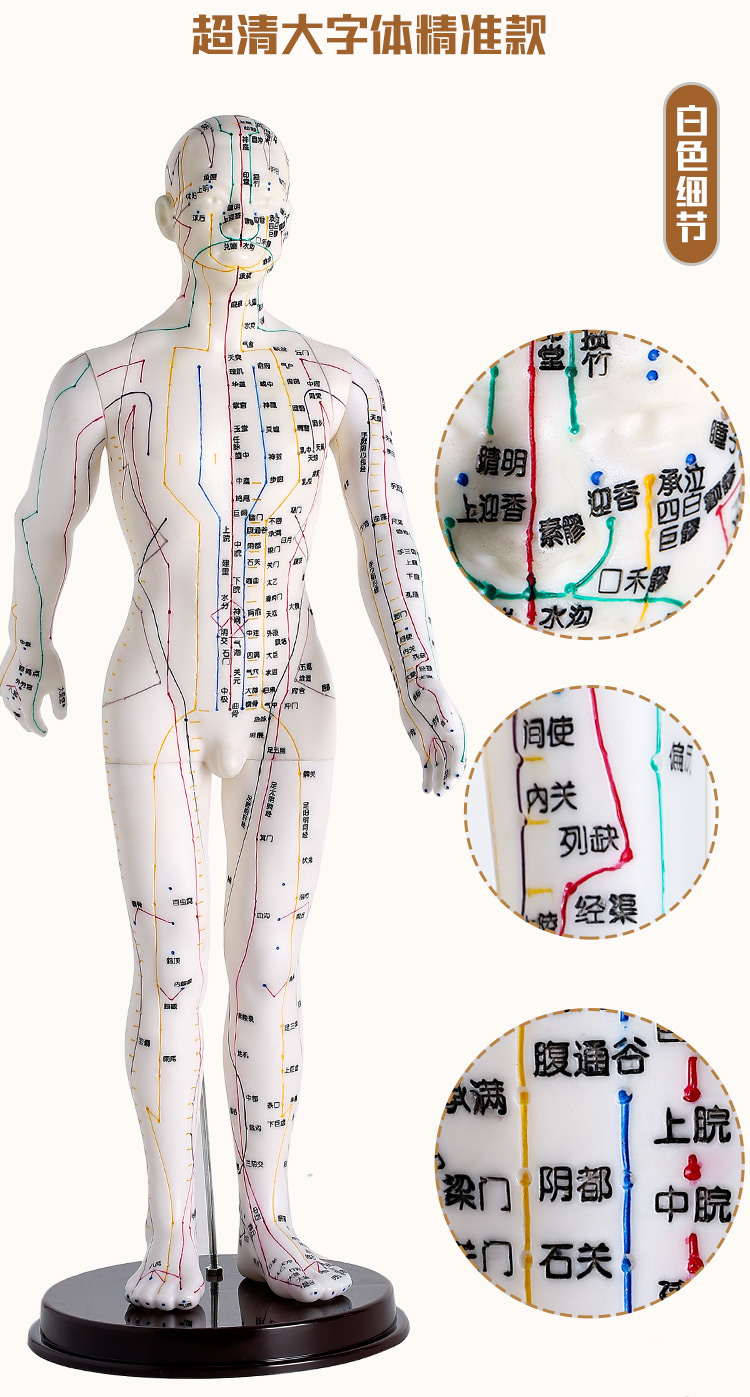 针灸人体各部位尺寸图图片