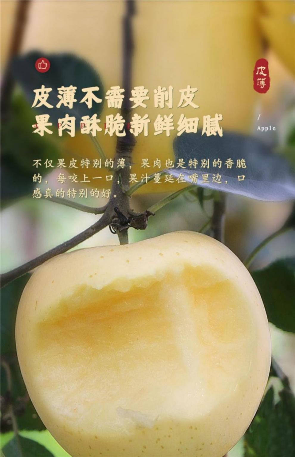 奶油富士苹果冰糖心水果新鲜5斤牛奶黄金白色山东烟台当季整箱10斤