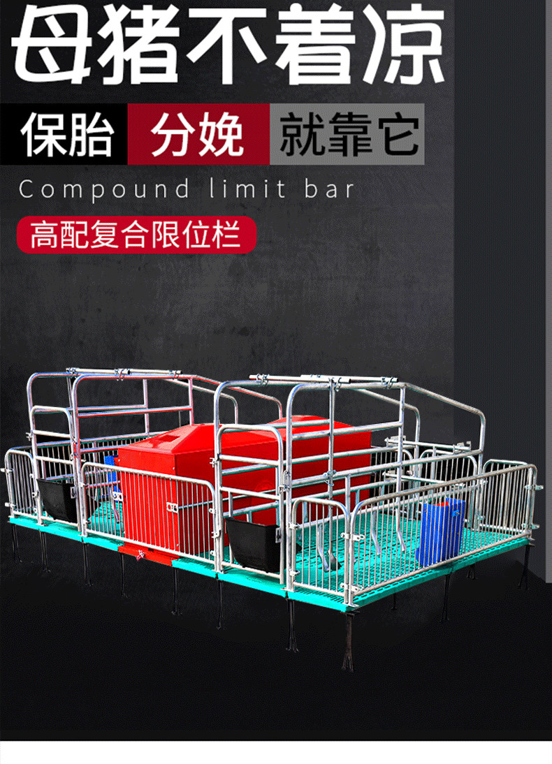 母猪产床分娩床保育两用一体限位栏 定位栏养殖场漏粪板设备 双猪 产