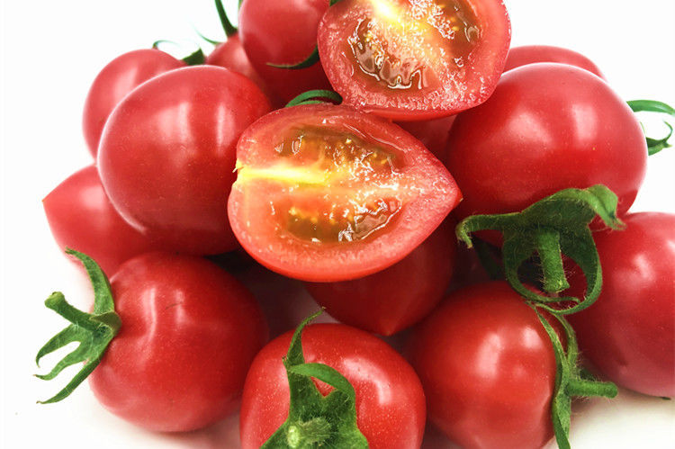 圣女果新鲜生吃千禧玲珑小番茄孕妇西红柿自然熟蔬菜 精选大果【5斤装