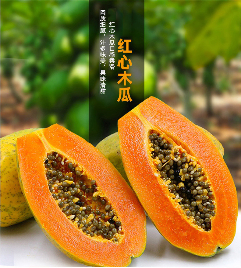 冰糖心青木瓜红心水果整箱新鲜5斤云南牛奶 斗士官方网站