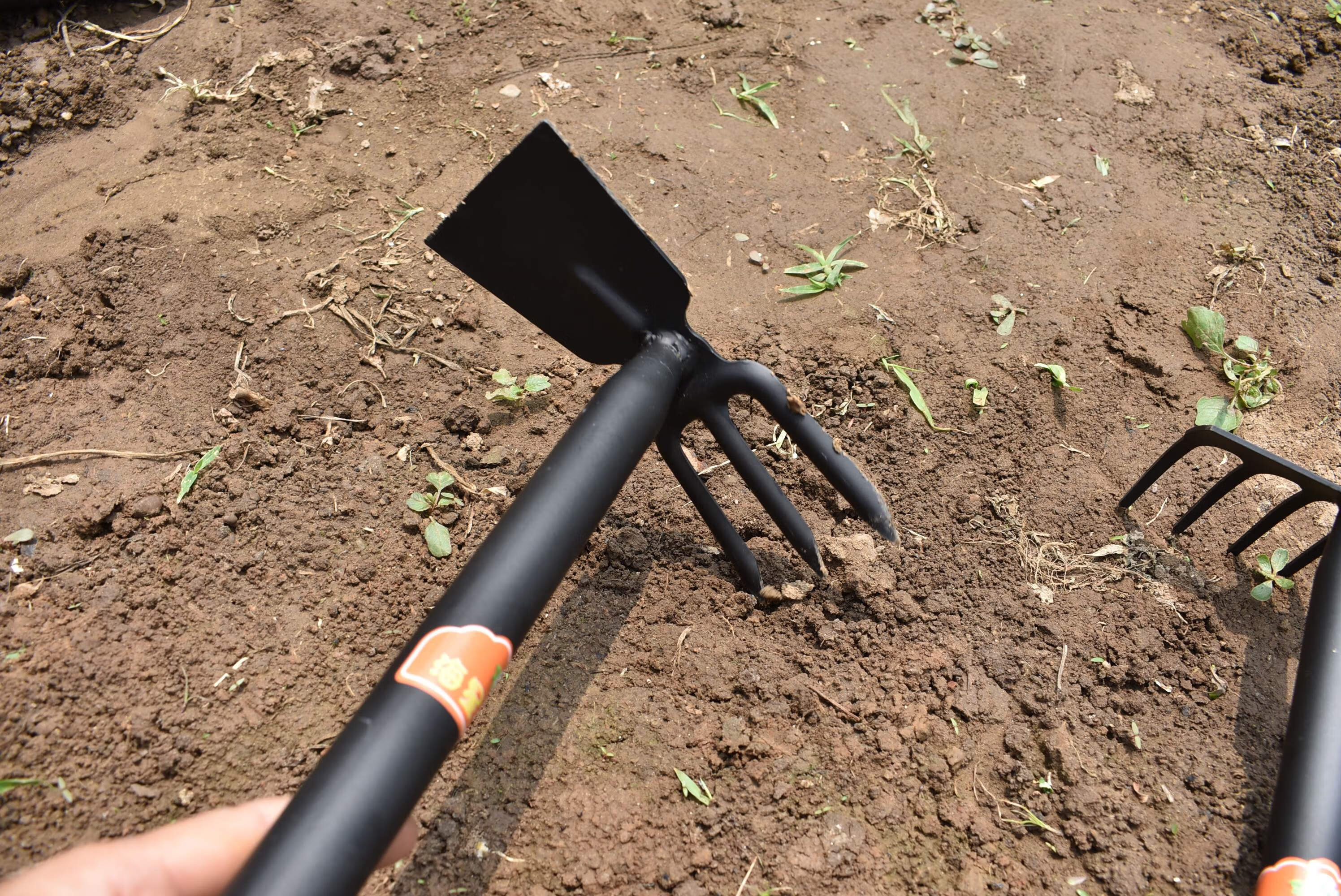 芊阙 锰钢锻打两用锄园艺四齿耙家用锄头松土五件套不锈钢耙子叉鹤嘴