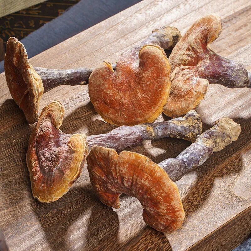 西藏野生金边灵芝整株赤灵芝整枝野生老灵芝泡茶泡酒正宗纯天然 西藏